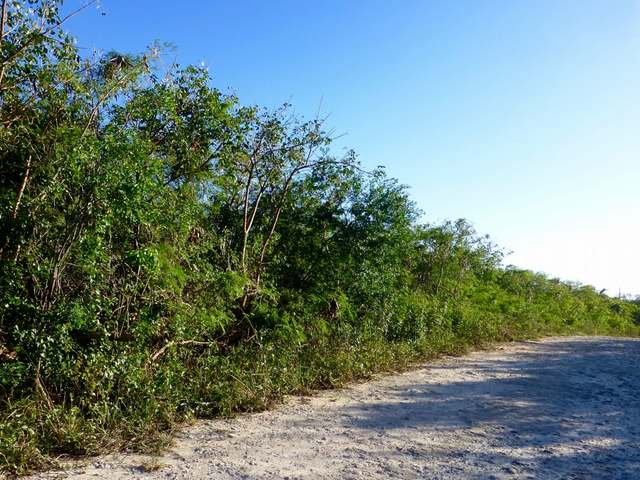 ELEUTHERA ISLAND SHORES,Gregory Town