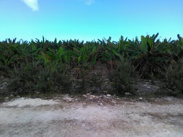QUEEN'S HIGHWAY, LONG IS.,Deadman's Cay