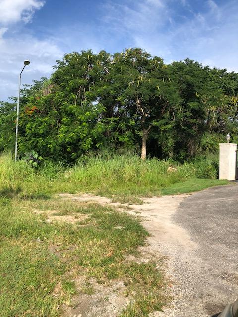 Single Family Lot