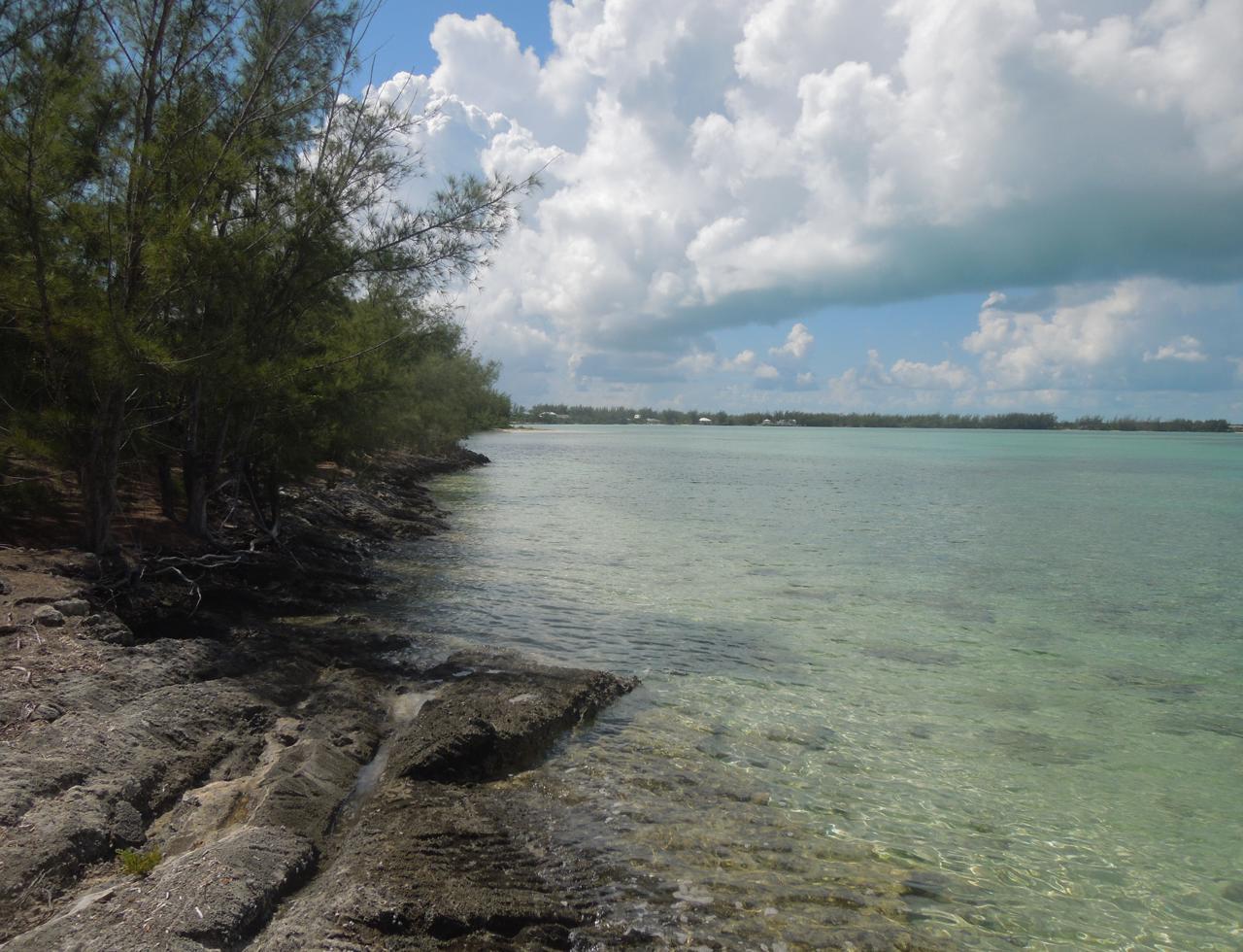 Waterfront Acreage