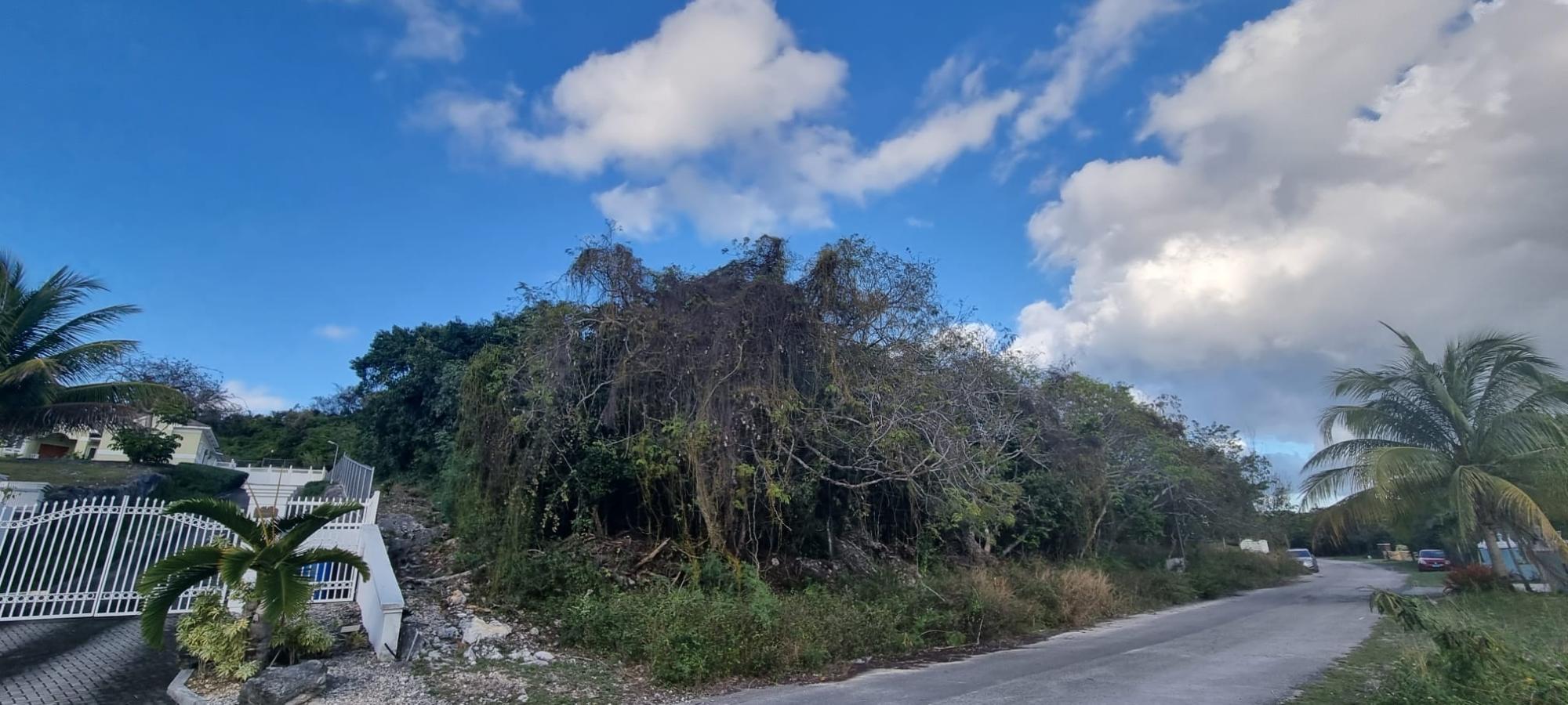 LOT #45 SOUTH WESTRIDGE,Westridge