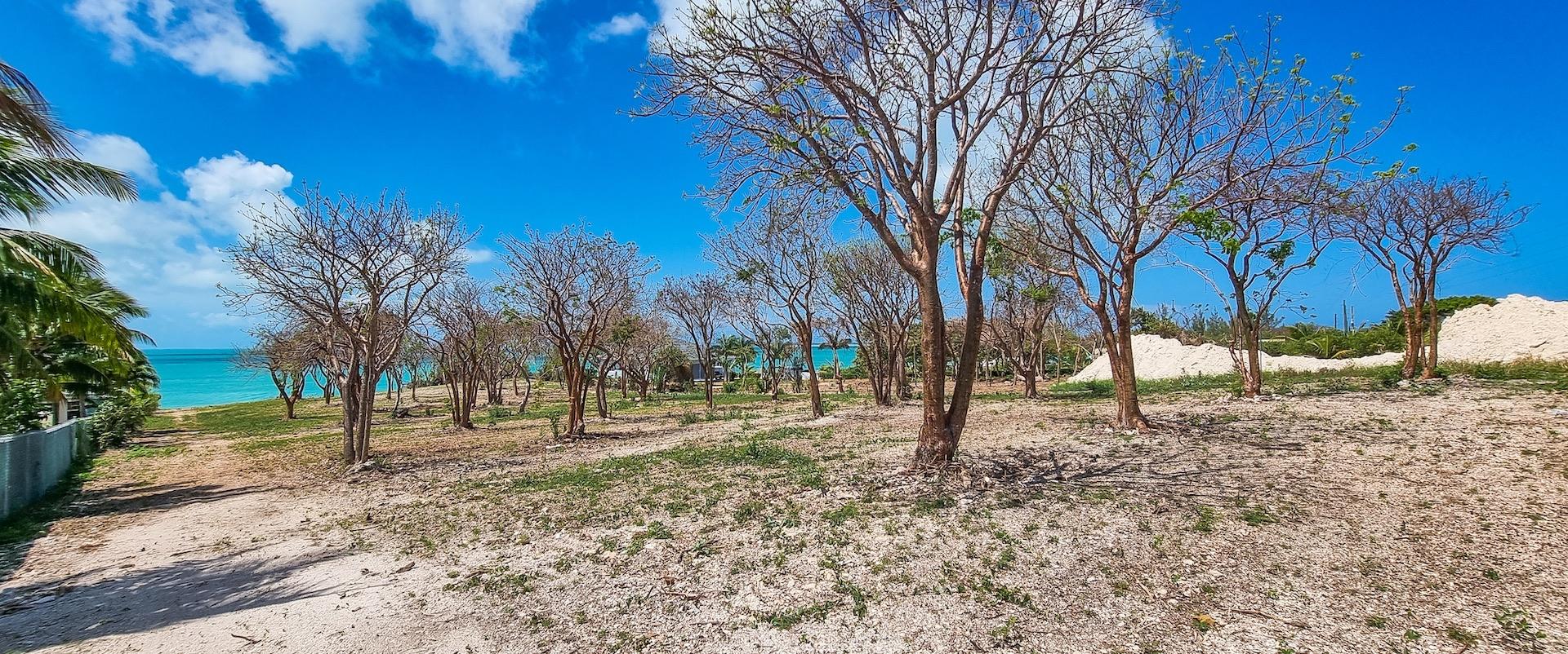 Waterfront Acreage