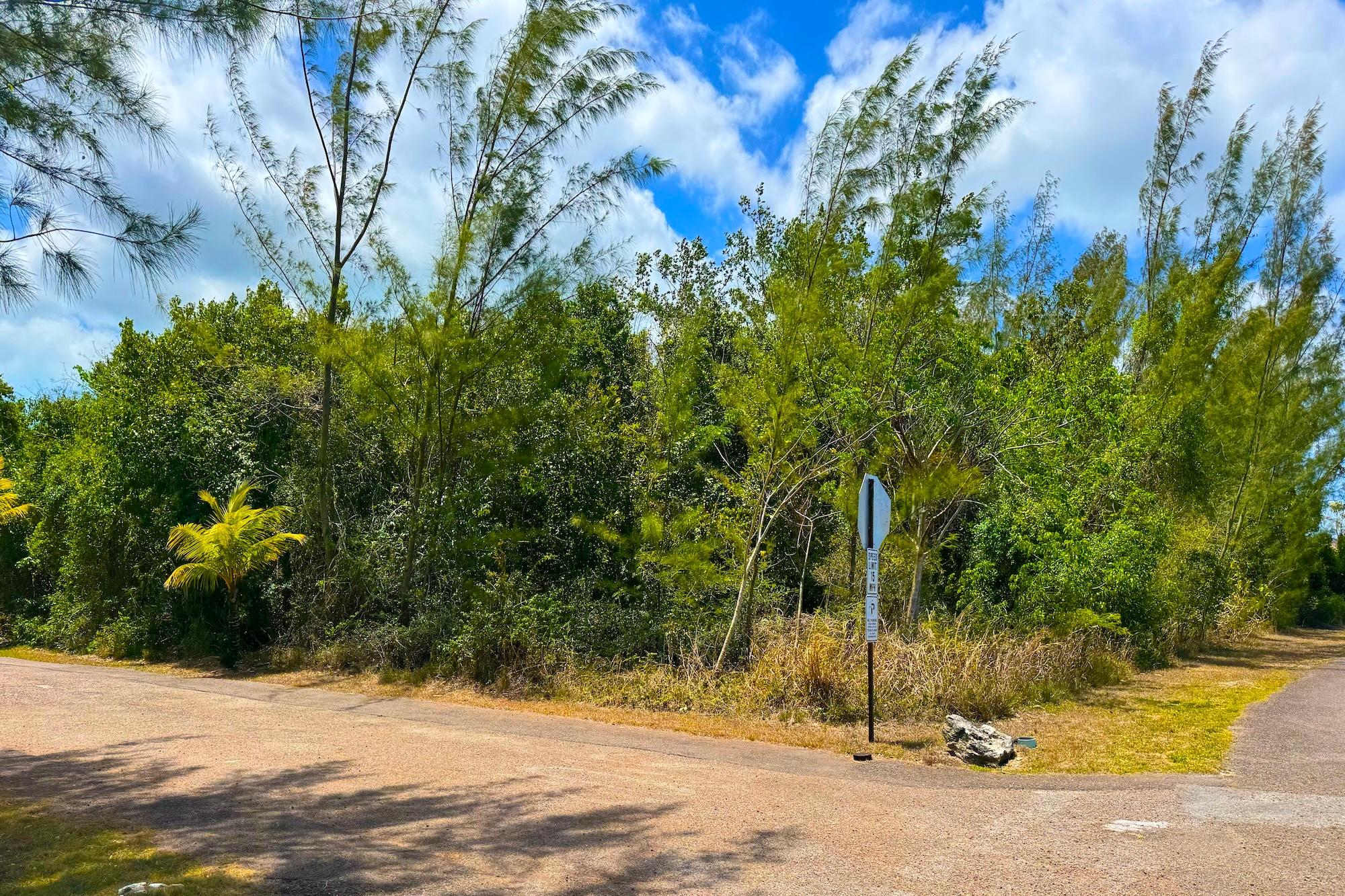 JACARANDA LOT,Western Road