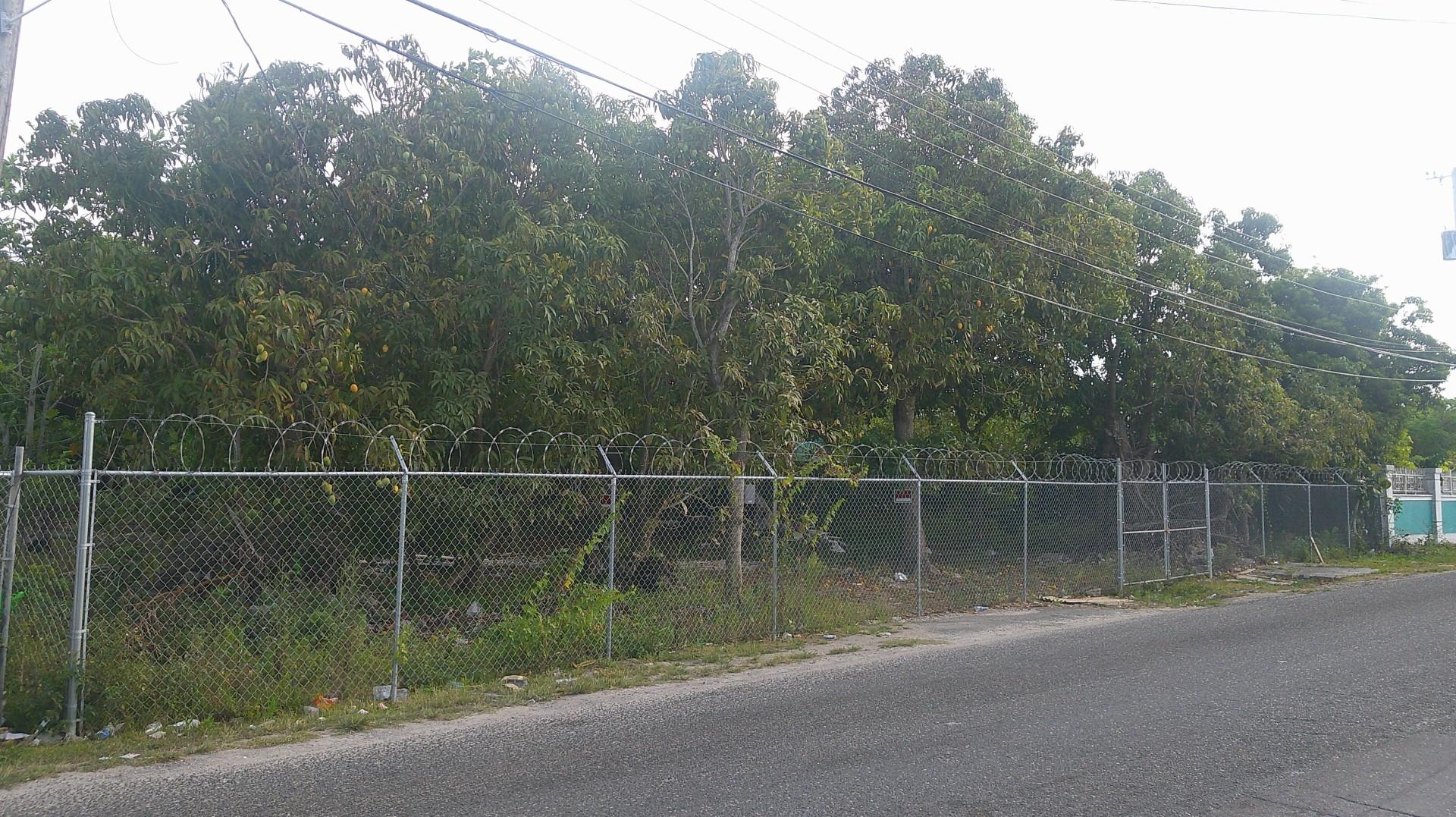 CROTON ROAD OFF FAITH AVE,Carmichael Road