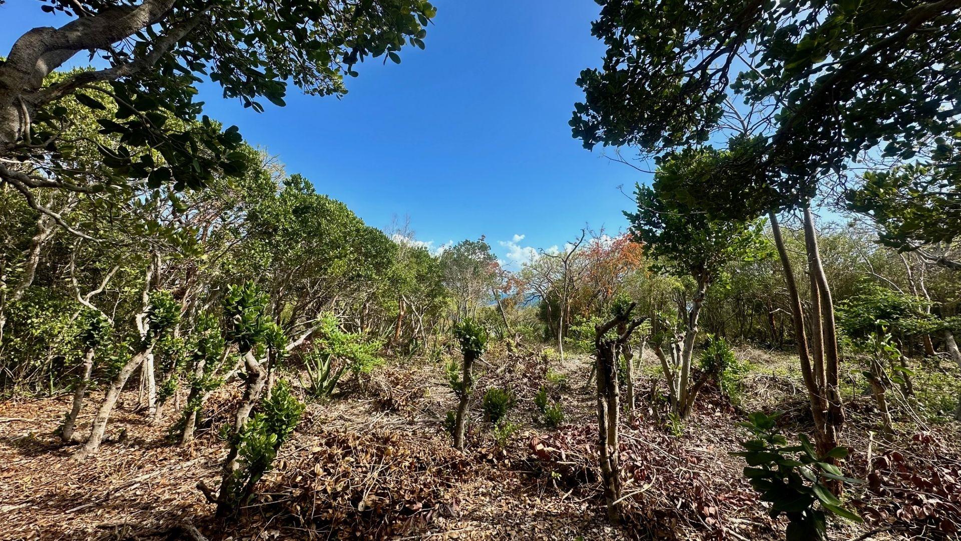 8 WANDERING SHORE,Rainbow Bay