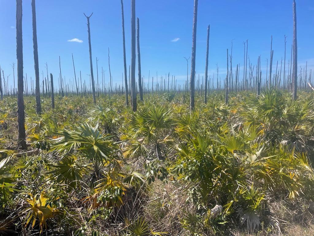 LUCAYAN GLEN LOT 16,Lucaya