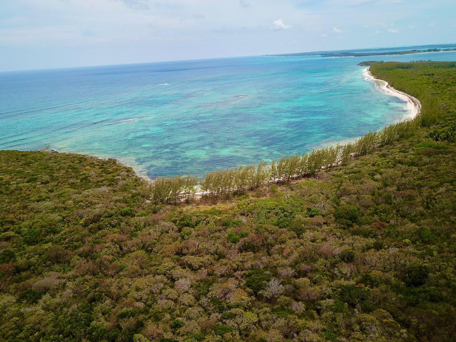 Tarpum Bay Acreage