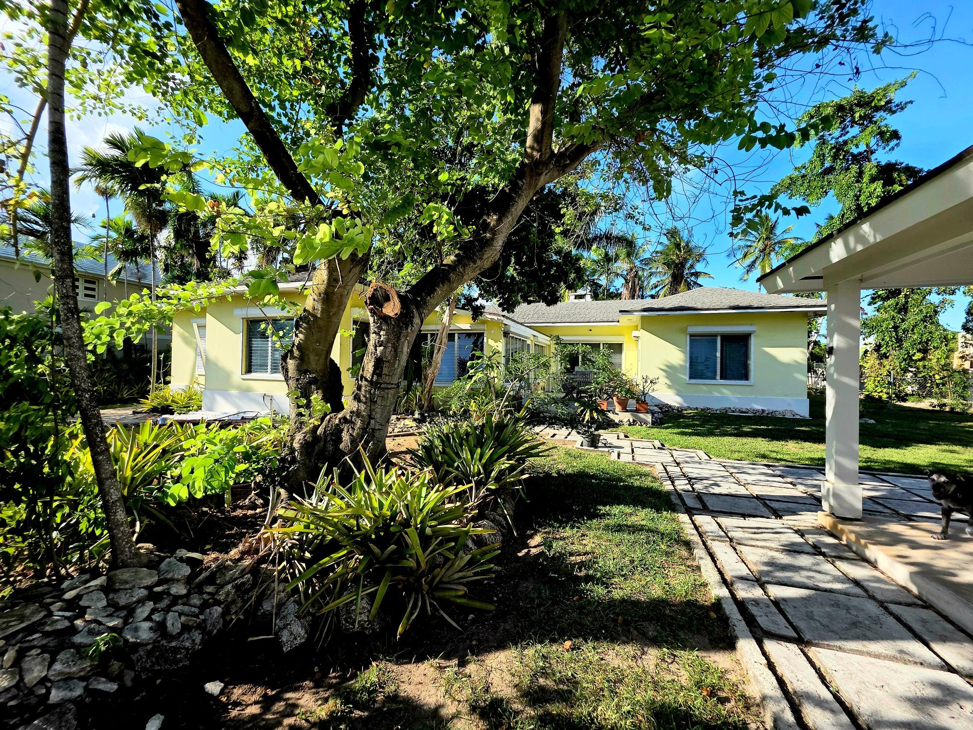 Rare Montague Rental