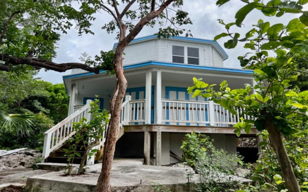 Buddha Blue House