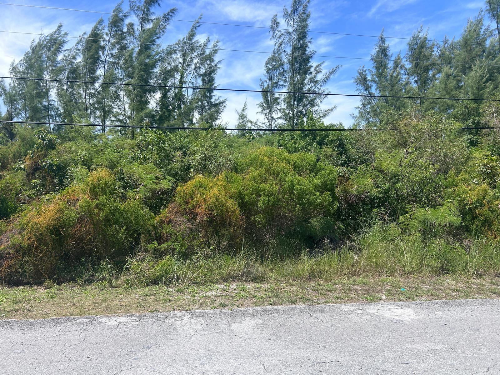 1/2 ACRE MULTI FAMILY LOT,Marshall Road