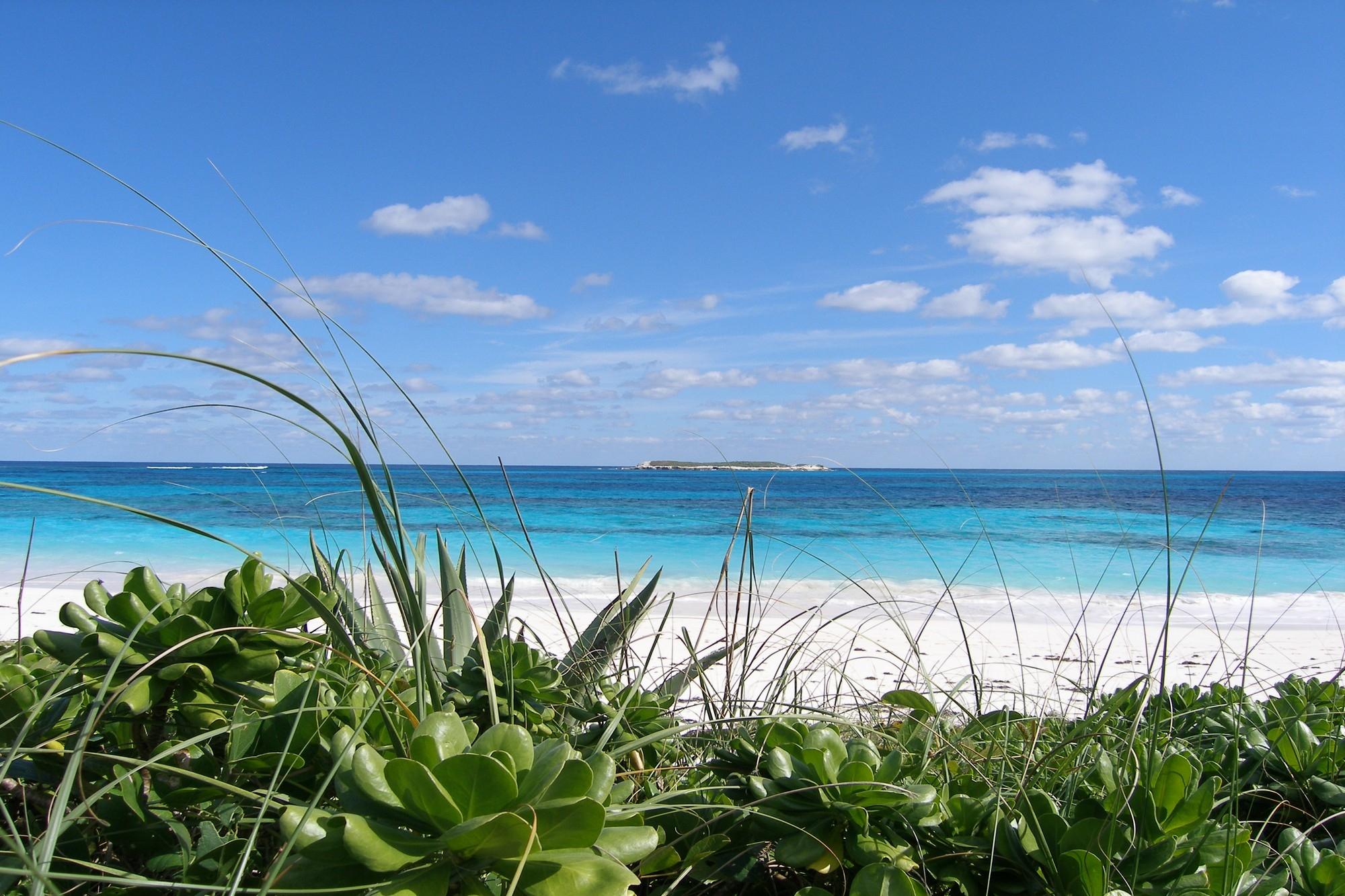 Plage Rose Lot
