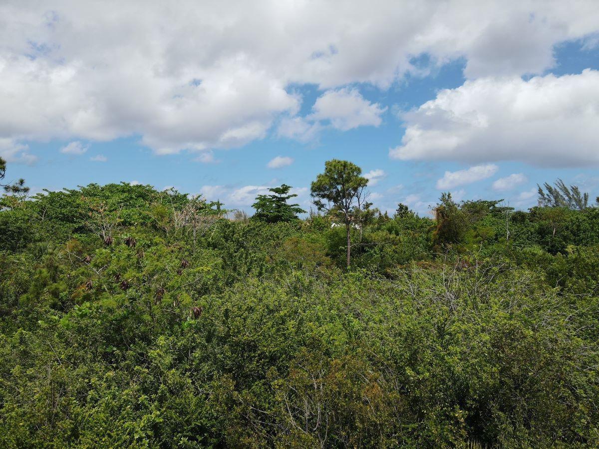 LOT 2, SAN SALVADOR,Columbus Landings