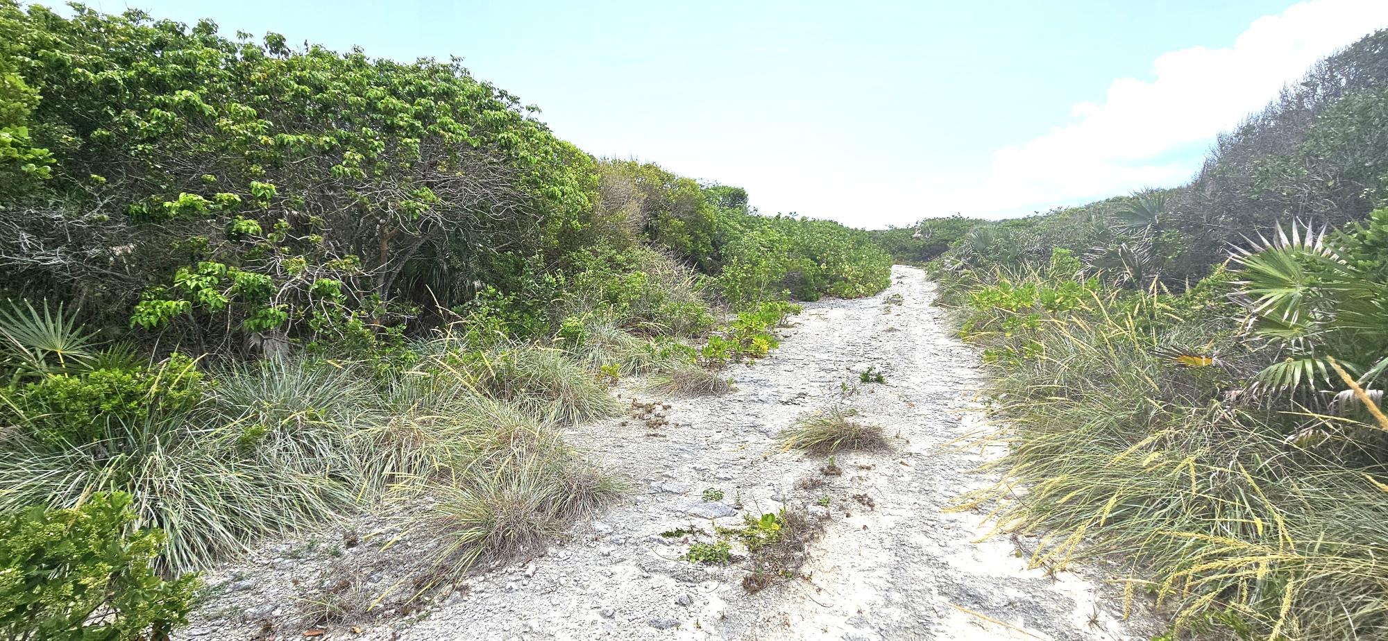 Whale Point Lot