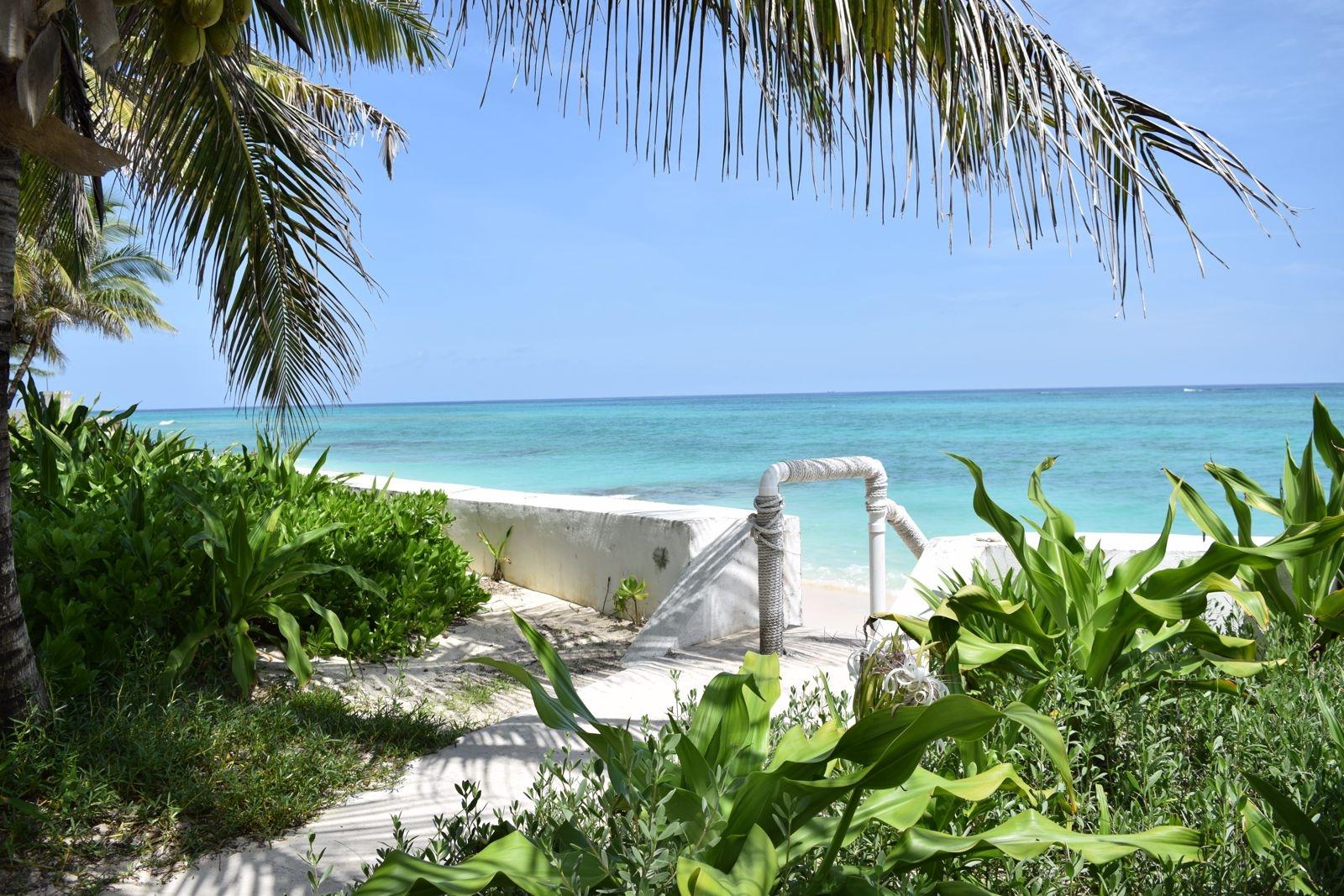 PALMS OF LOVE BEACH,Love Beach