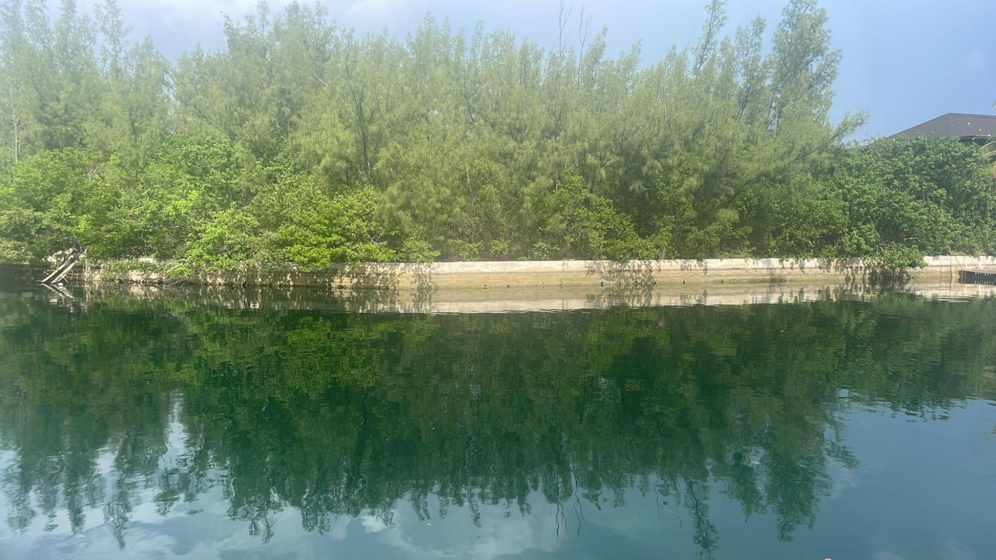 SILVER SANDS COURT, FREEP,Lucaya