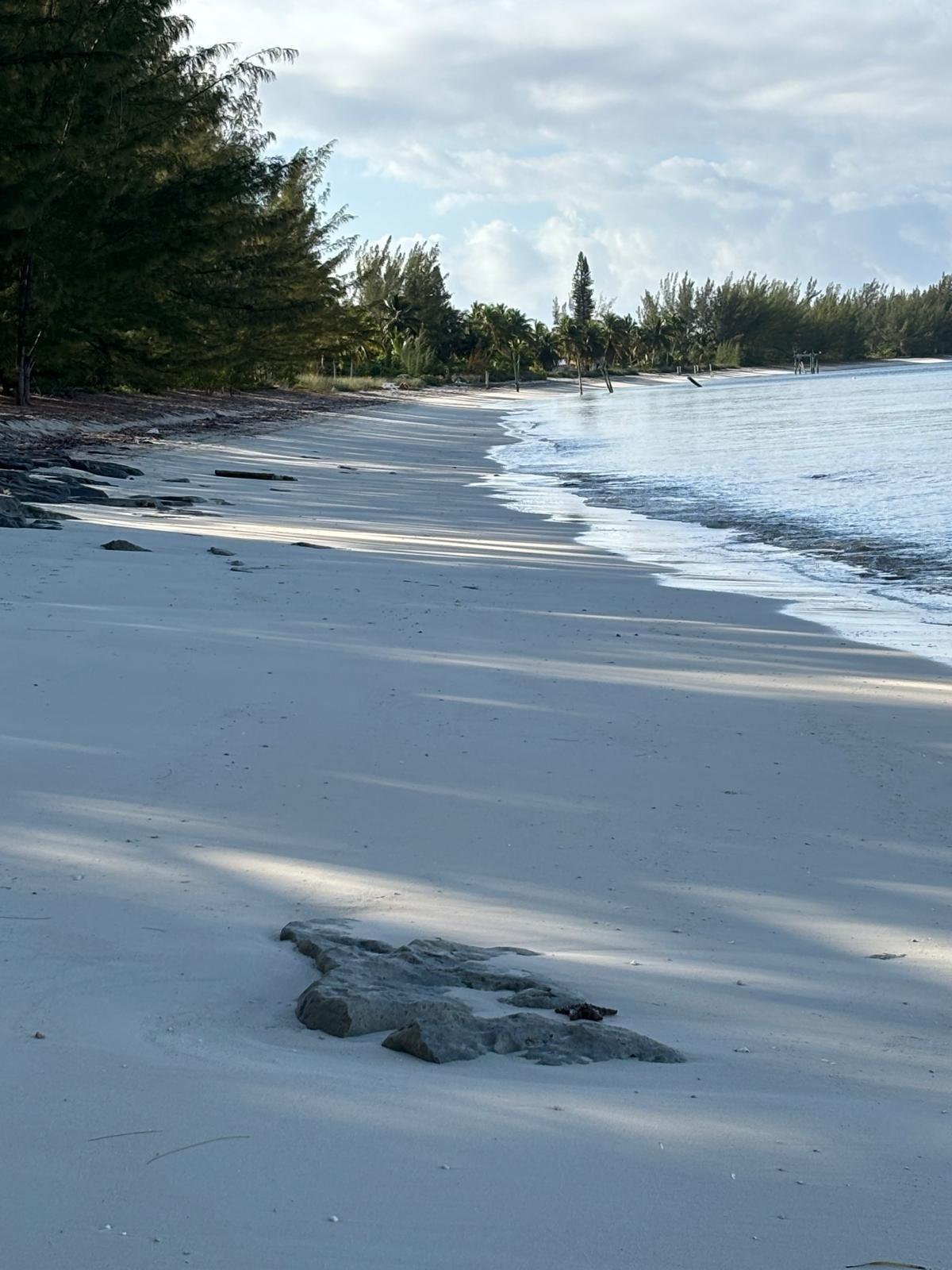 SANDY POINT ABACO