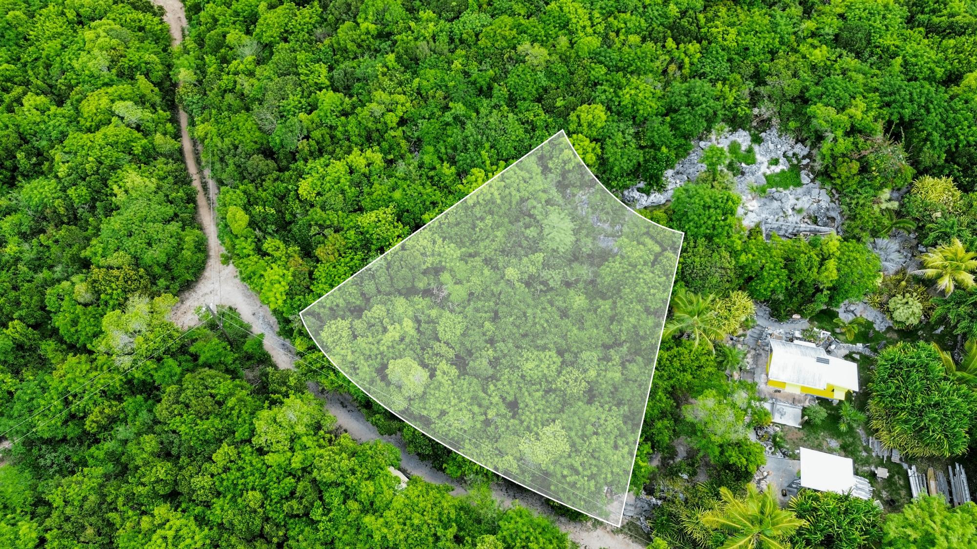 Coconut Drive Lot 19