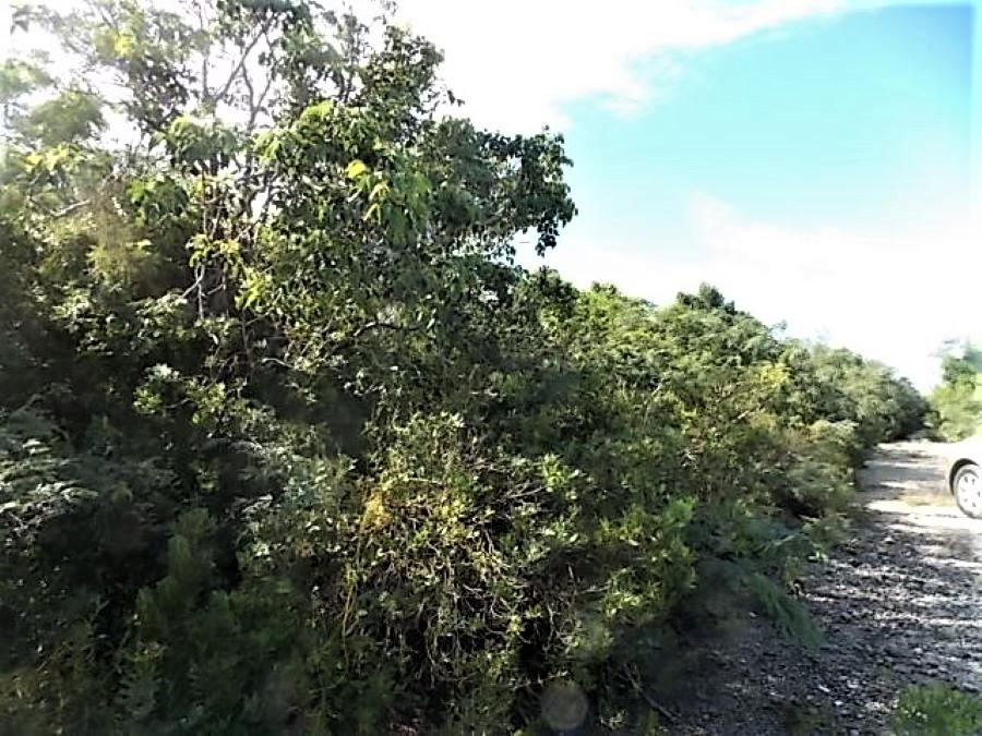  STELLA MARIS LOT,Stella Maris