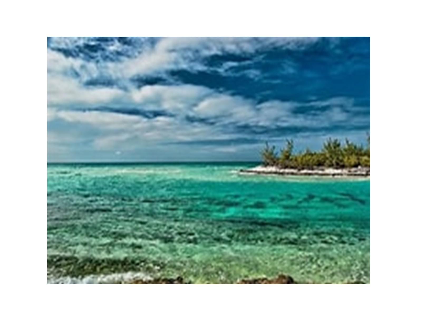 Mixed Use vacant lot