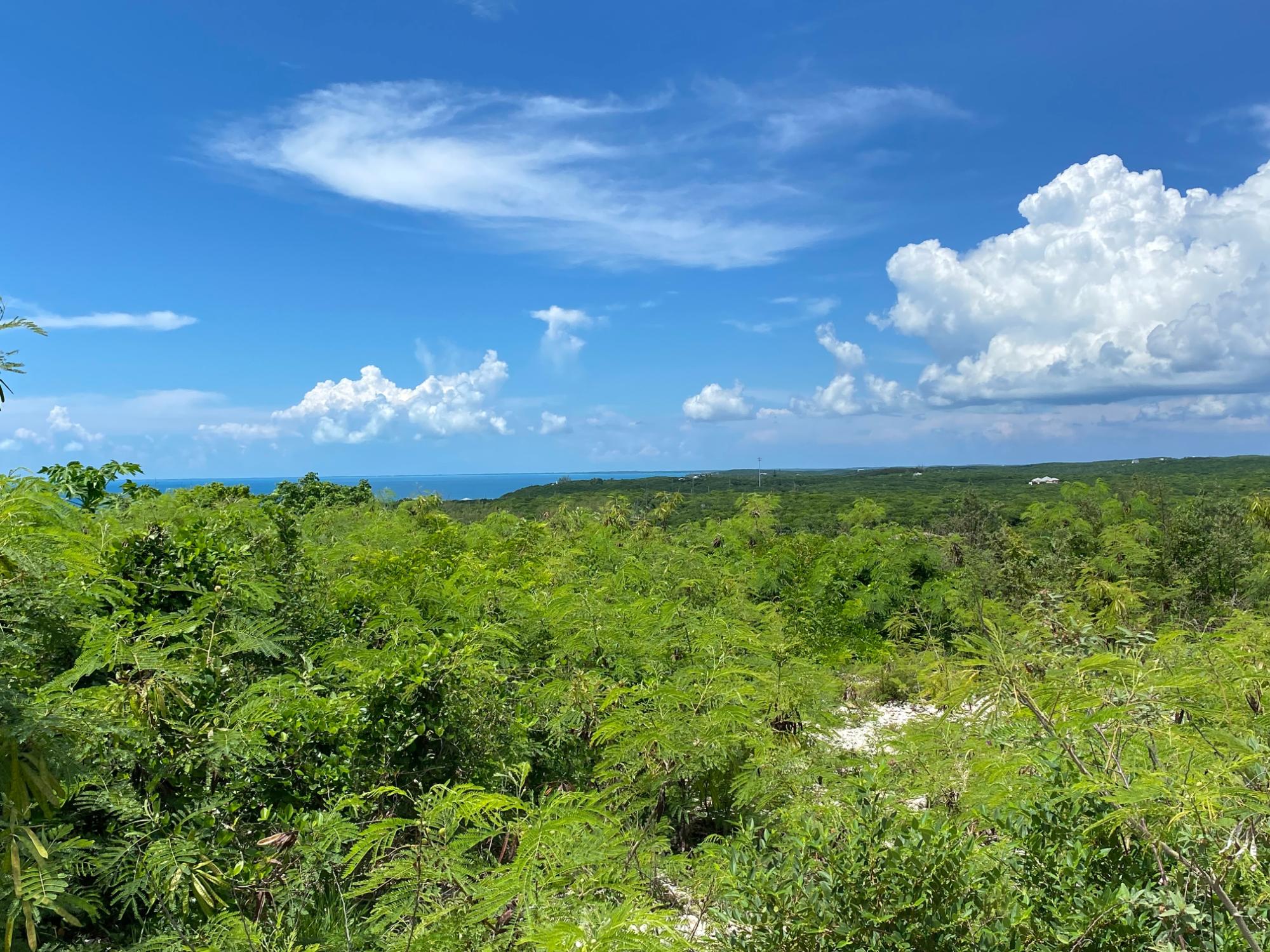  ELEUTHERA ISLAND SHORES,Gregory Town