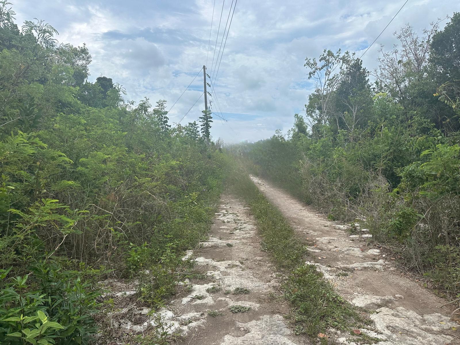  2 BULLARD'S TARPUM BAY,Tarpum Bay