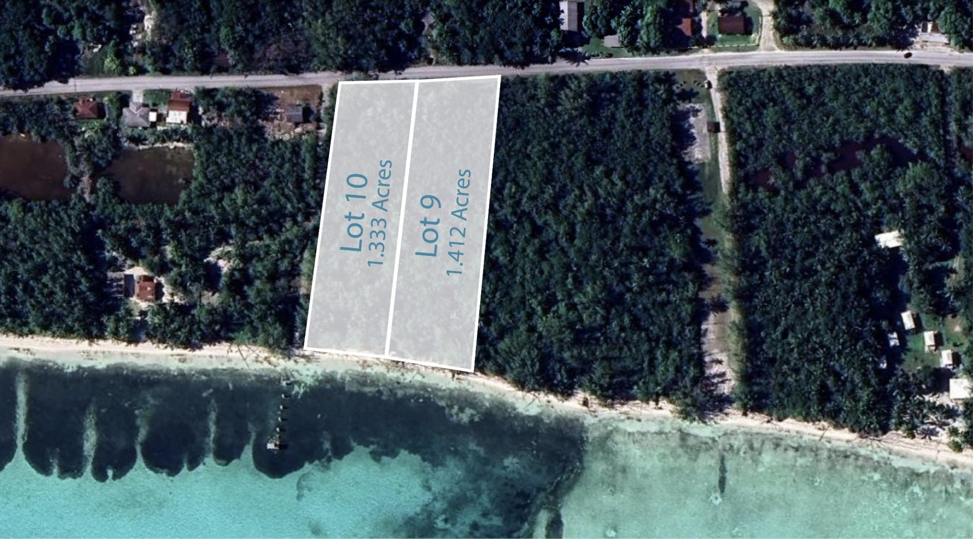 Mangrove Cay Lots