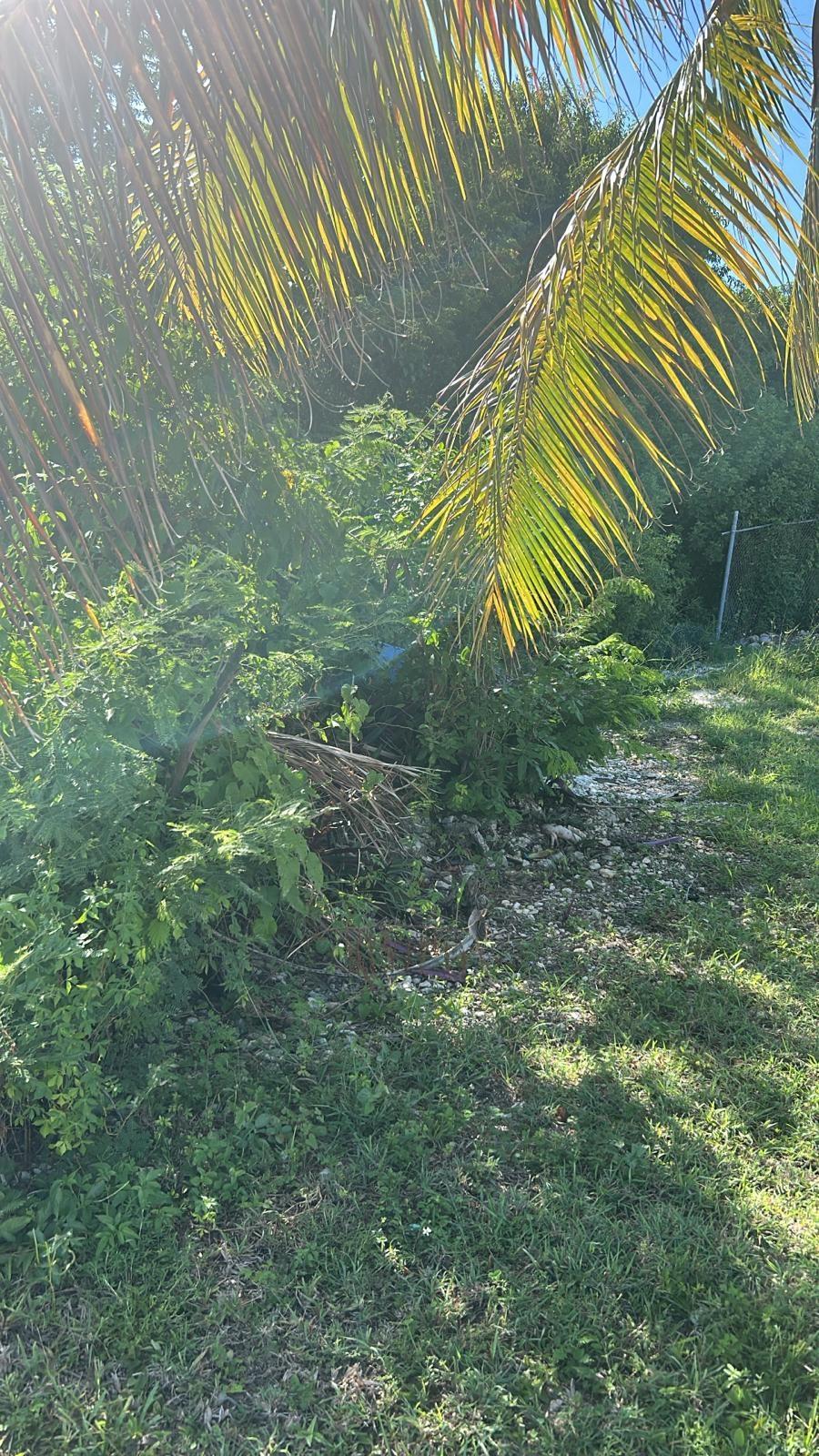 16 HAMPSHIRE STREET,Bahamia