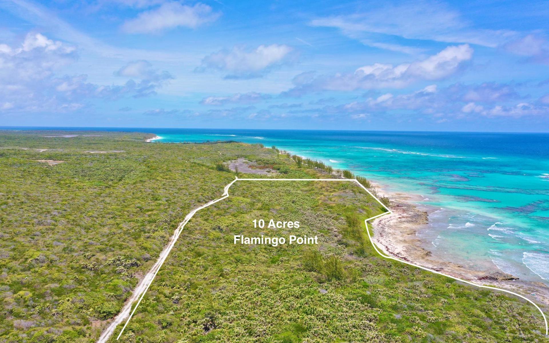  10 ACRES, FLAMINGO POINT,,Arthurs Town