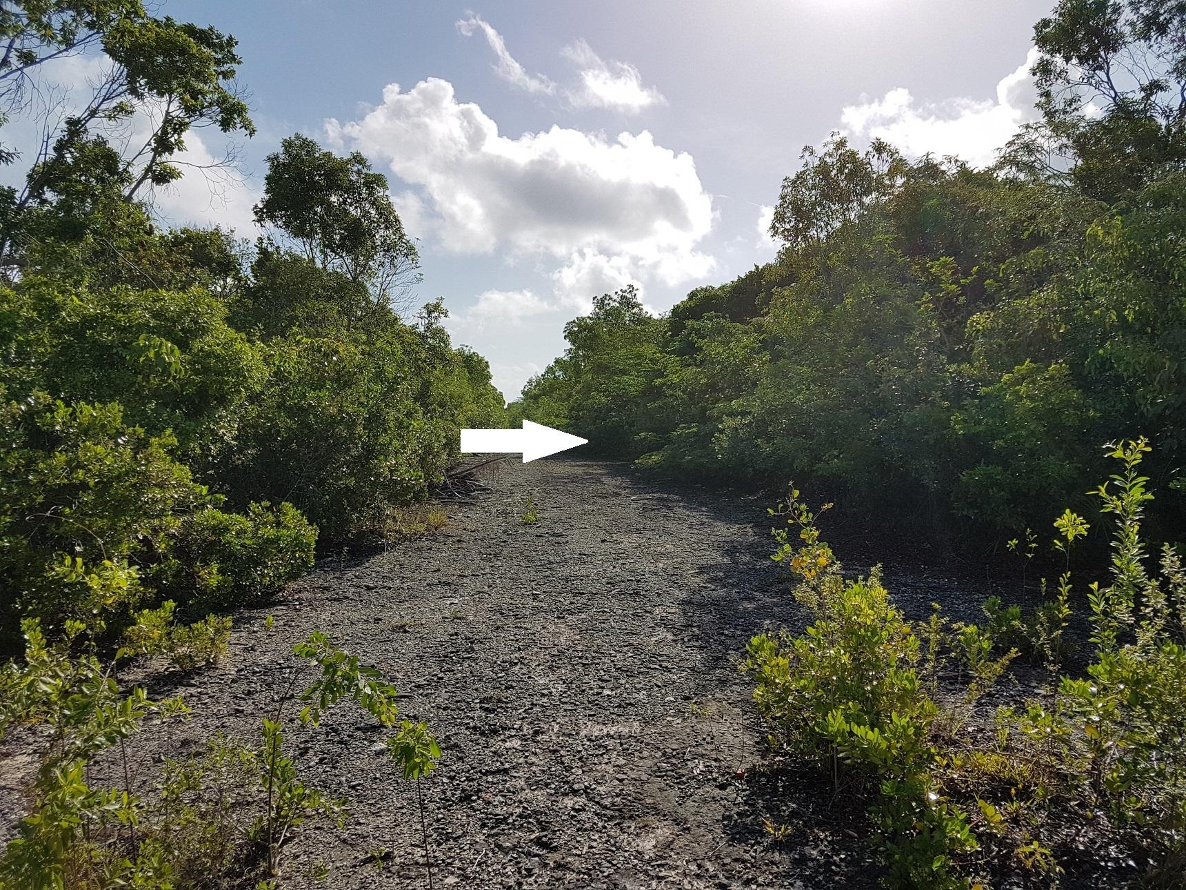  LOTS 5503 5504 BAH S  7E,Bahama Sound