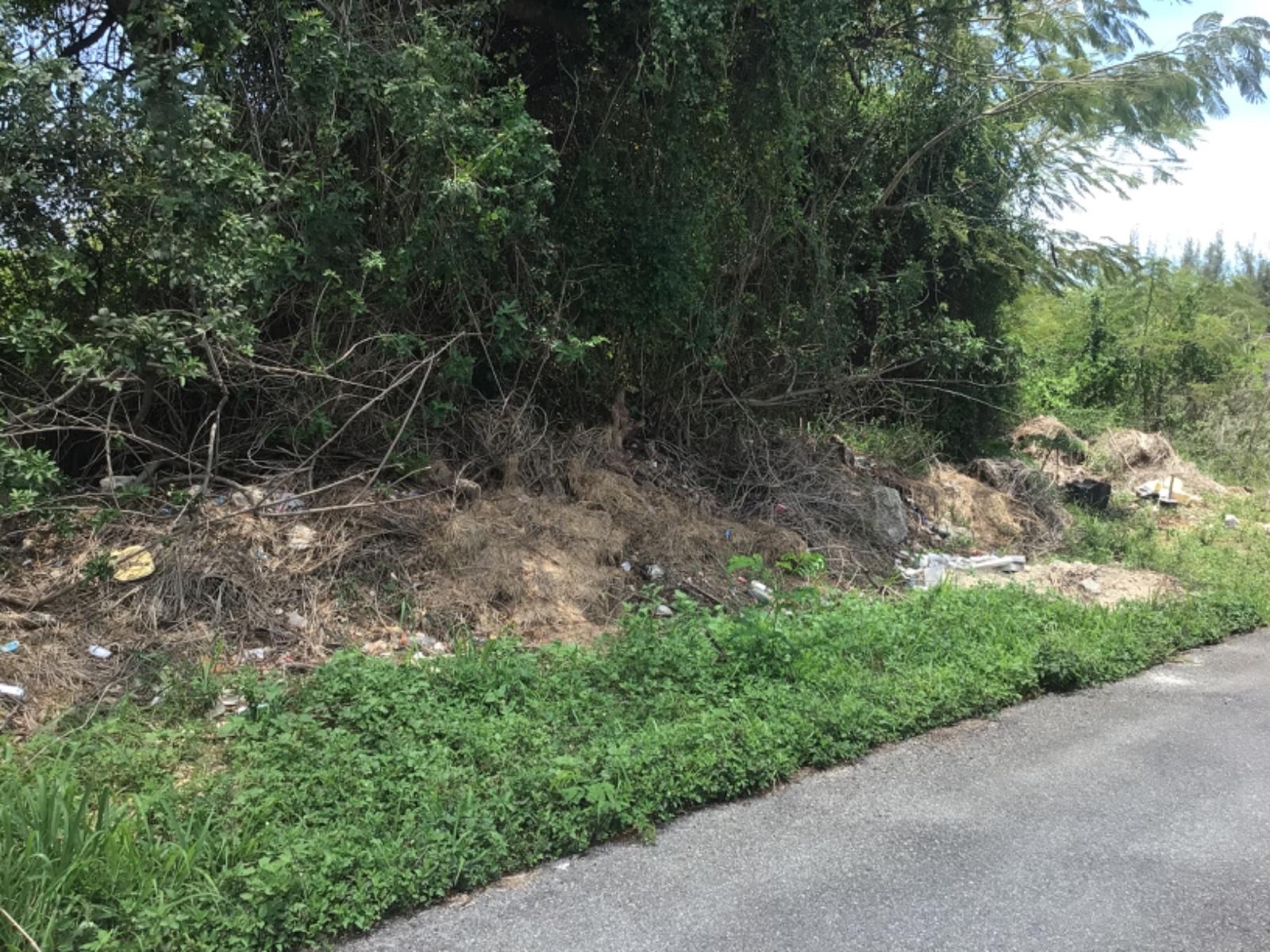  BERNARD TERRACE,Bernard Road