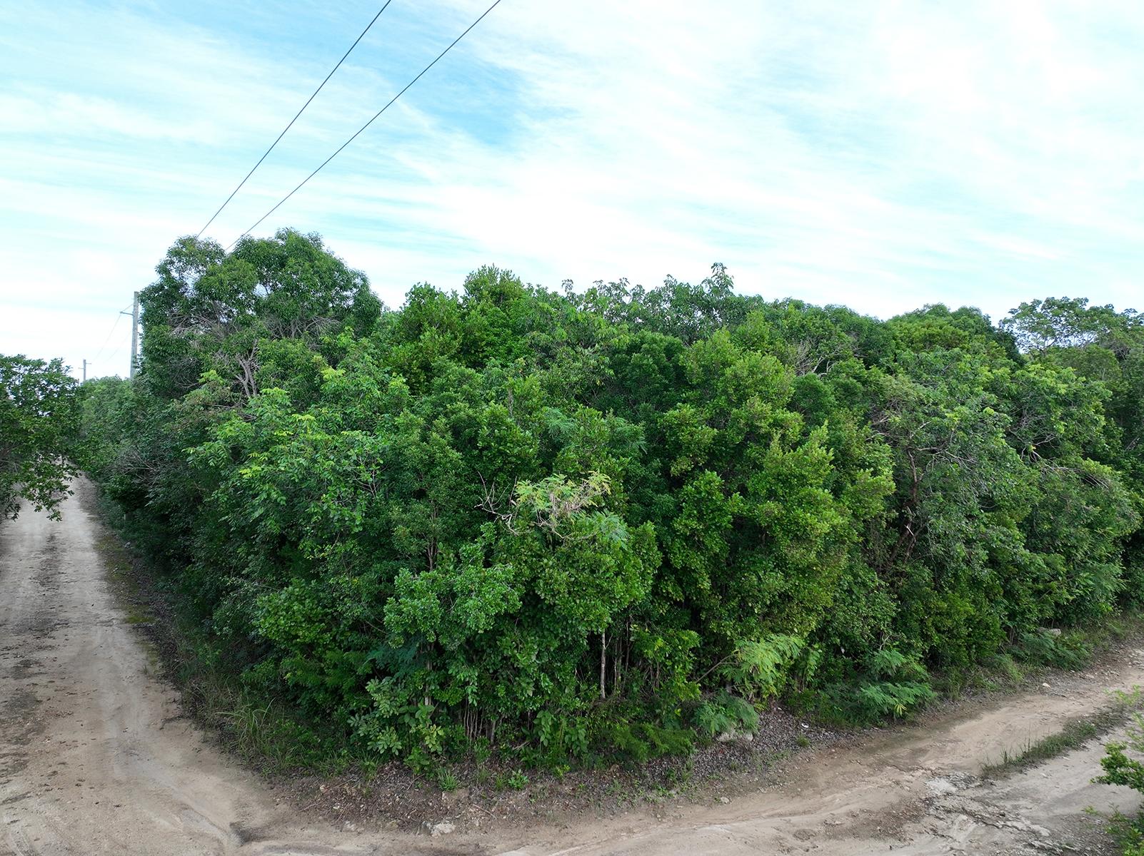  PARCEL A, WINDING BAY,Tarpum Bay