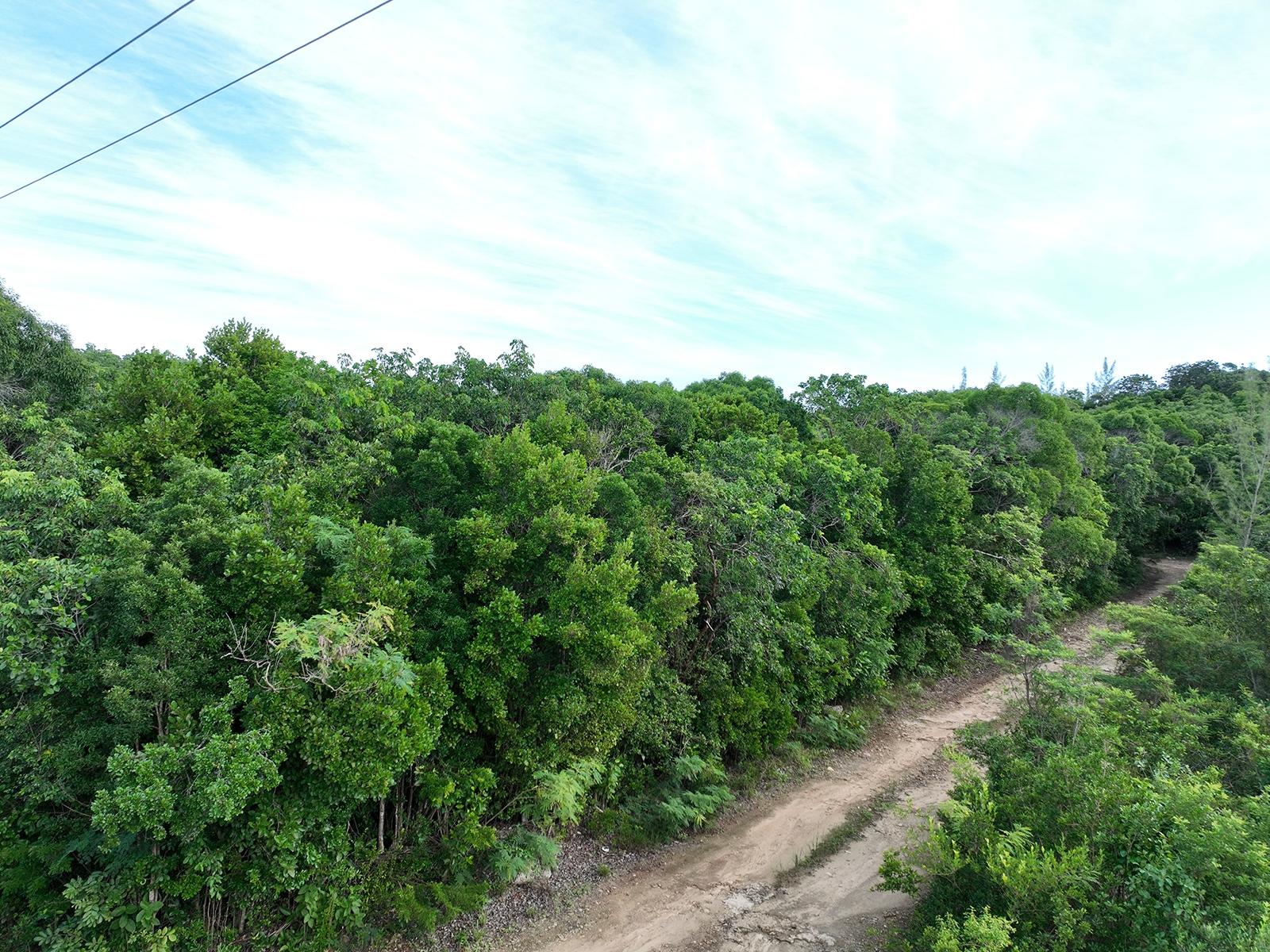  PARCEL B, WINDING BAY,Tarpum Bay