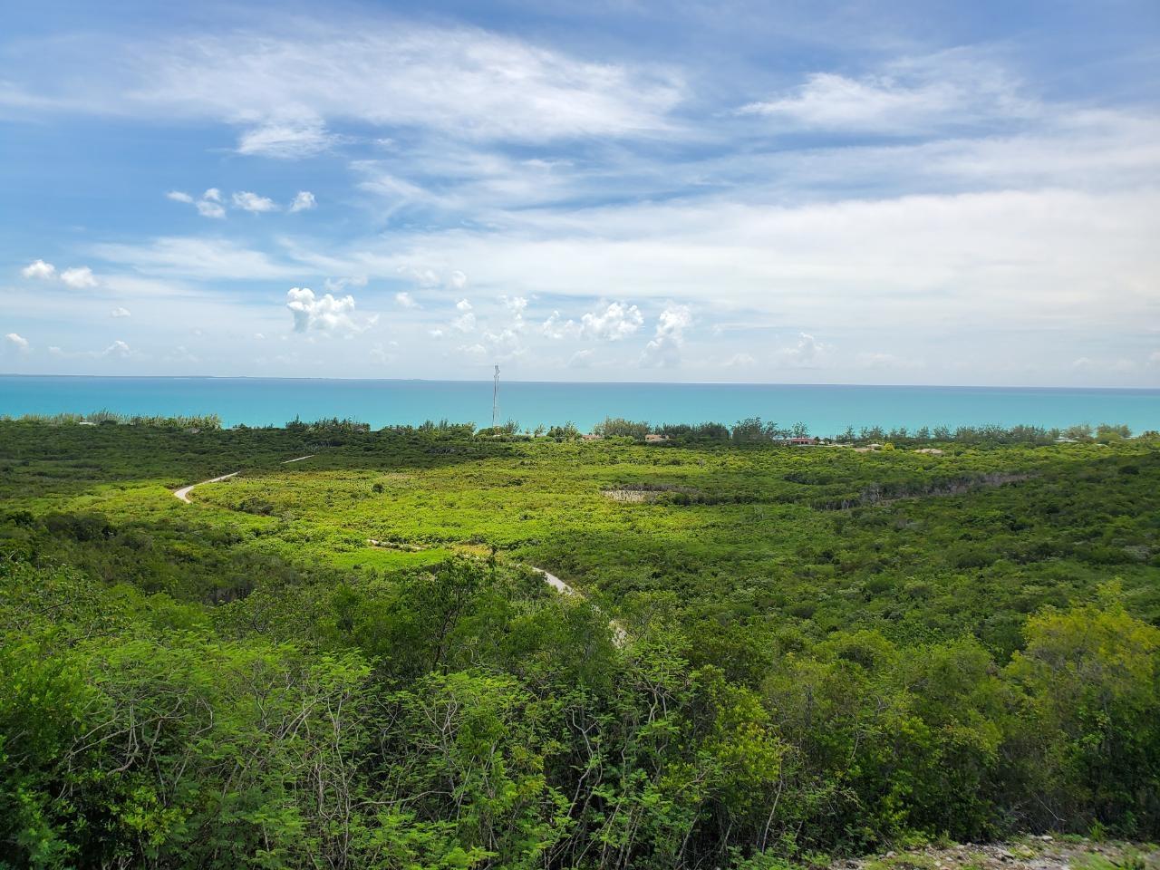 Mixed Use Vacant Lot