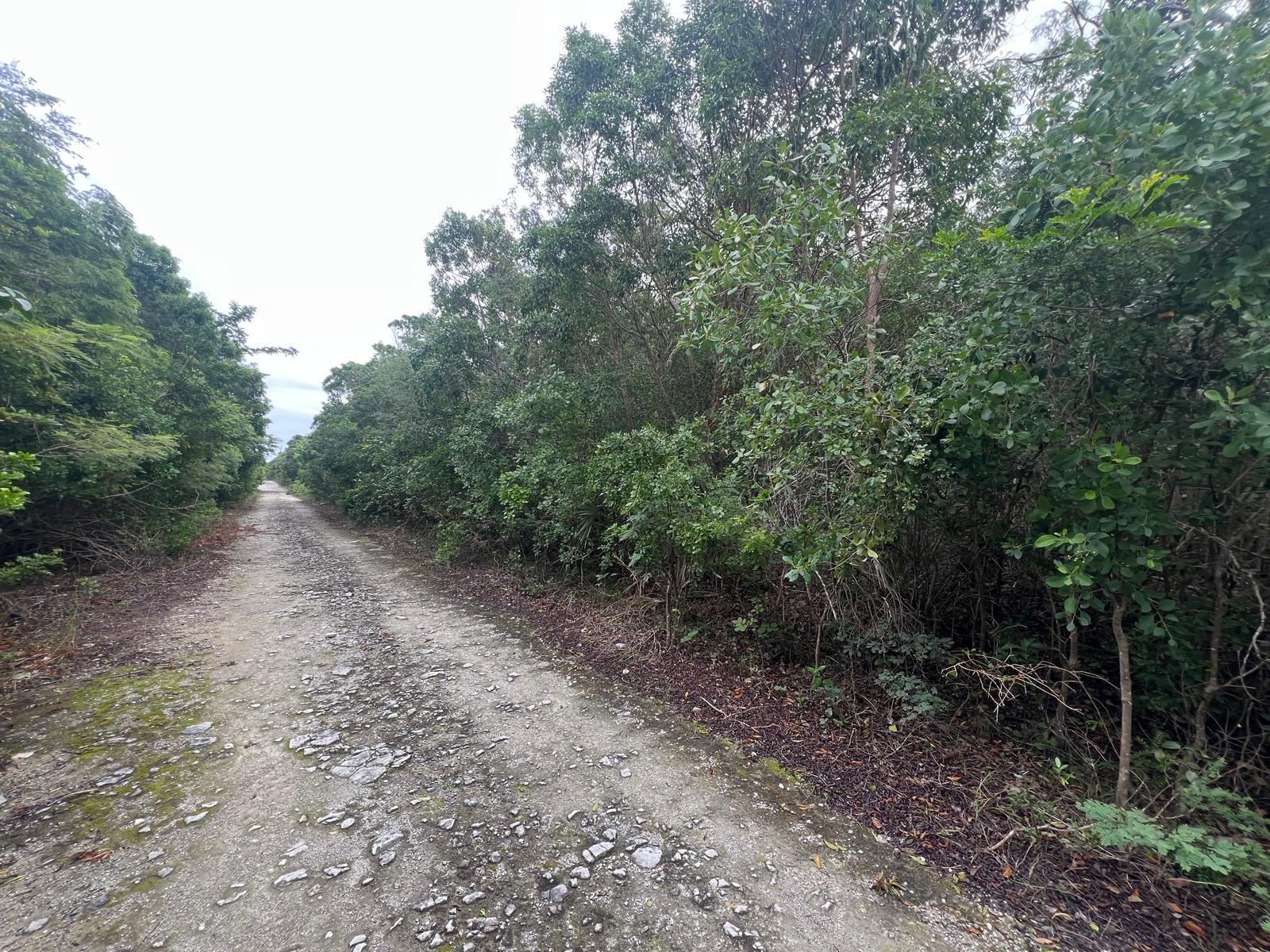  DOLPHIN ROAD,Bahama Sound