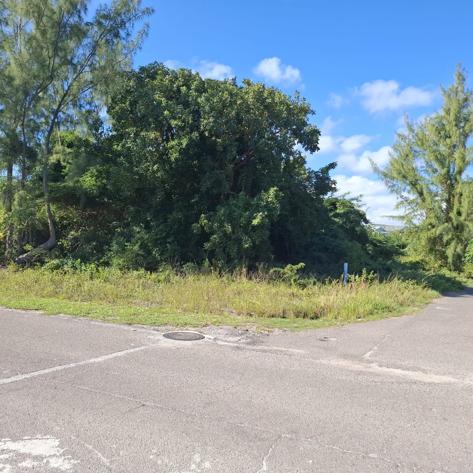  TWYNAM HEIGHTS BLVD,Winton