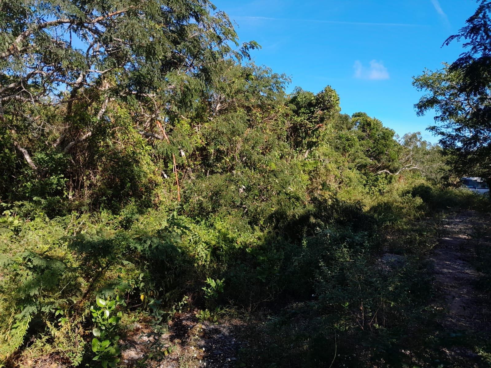  HUMMINGBIRD HEIGHTS,Little Exuma