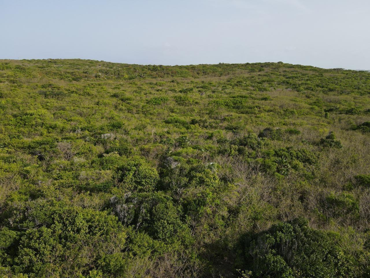  MATOADY ROAD,Doctor's Creek