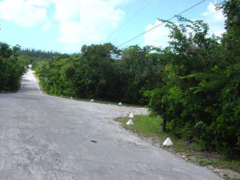 LOt# 25