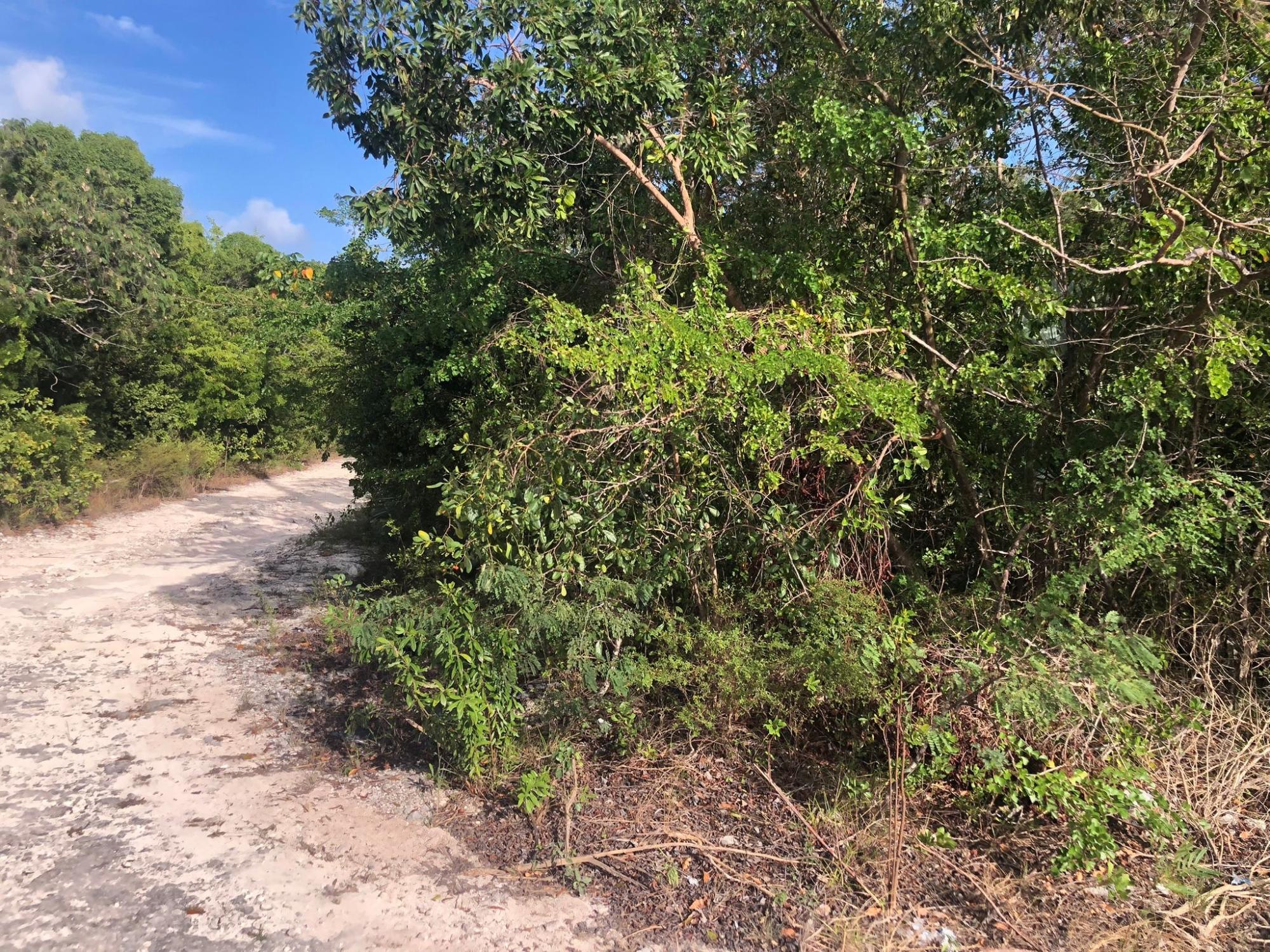 17669 Bahama Sound