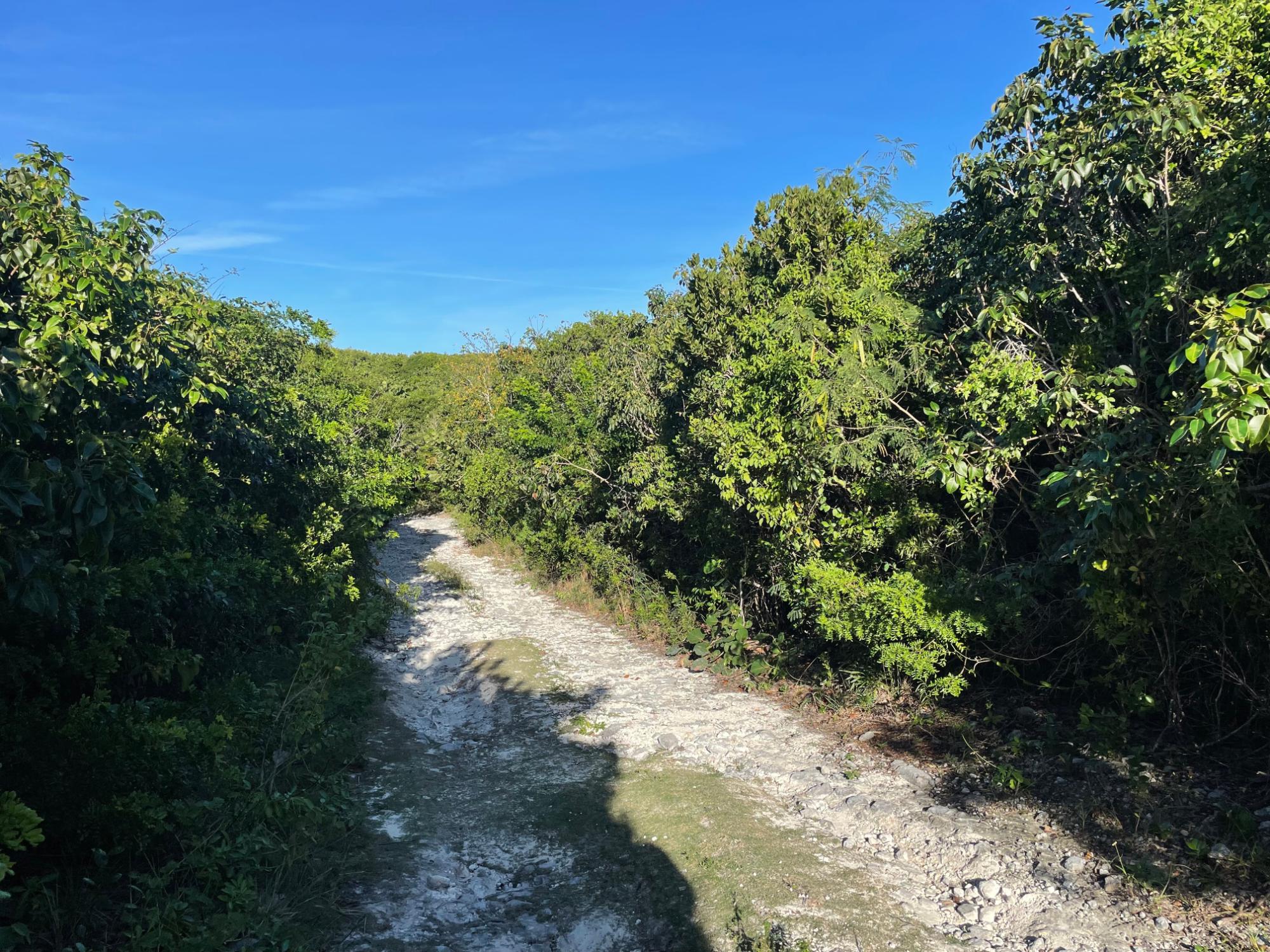  ELEUTHERA ISLAND SHORES,Gregory Town