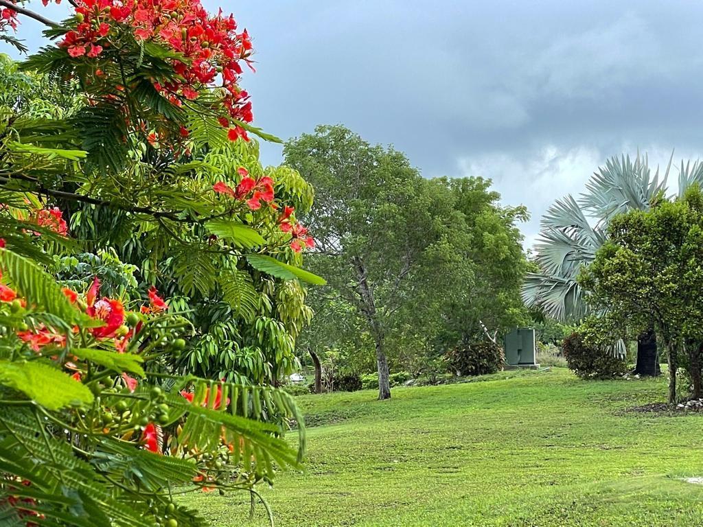  LYFORD HILLS,Western Road