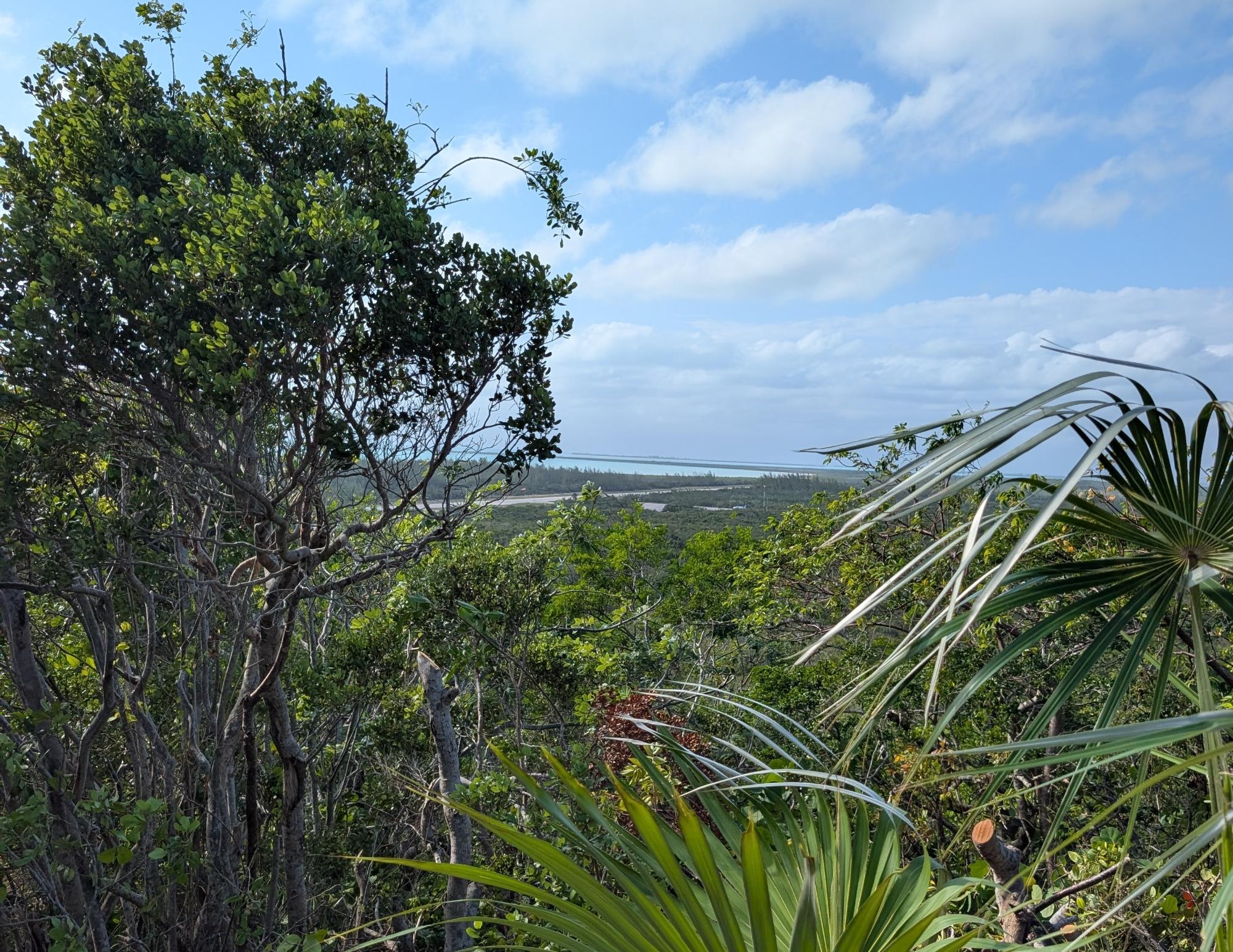  56 HILL VIEW DRIVE,Stella Maris