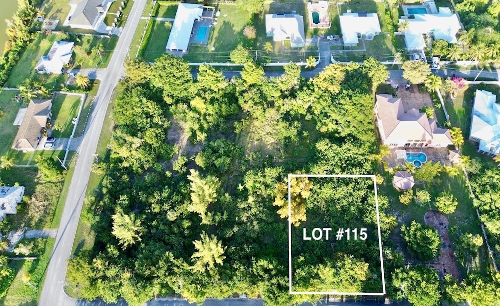  LOT 115, LUCAYAN BEACH,Lucaya