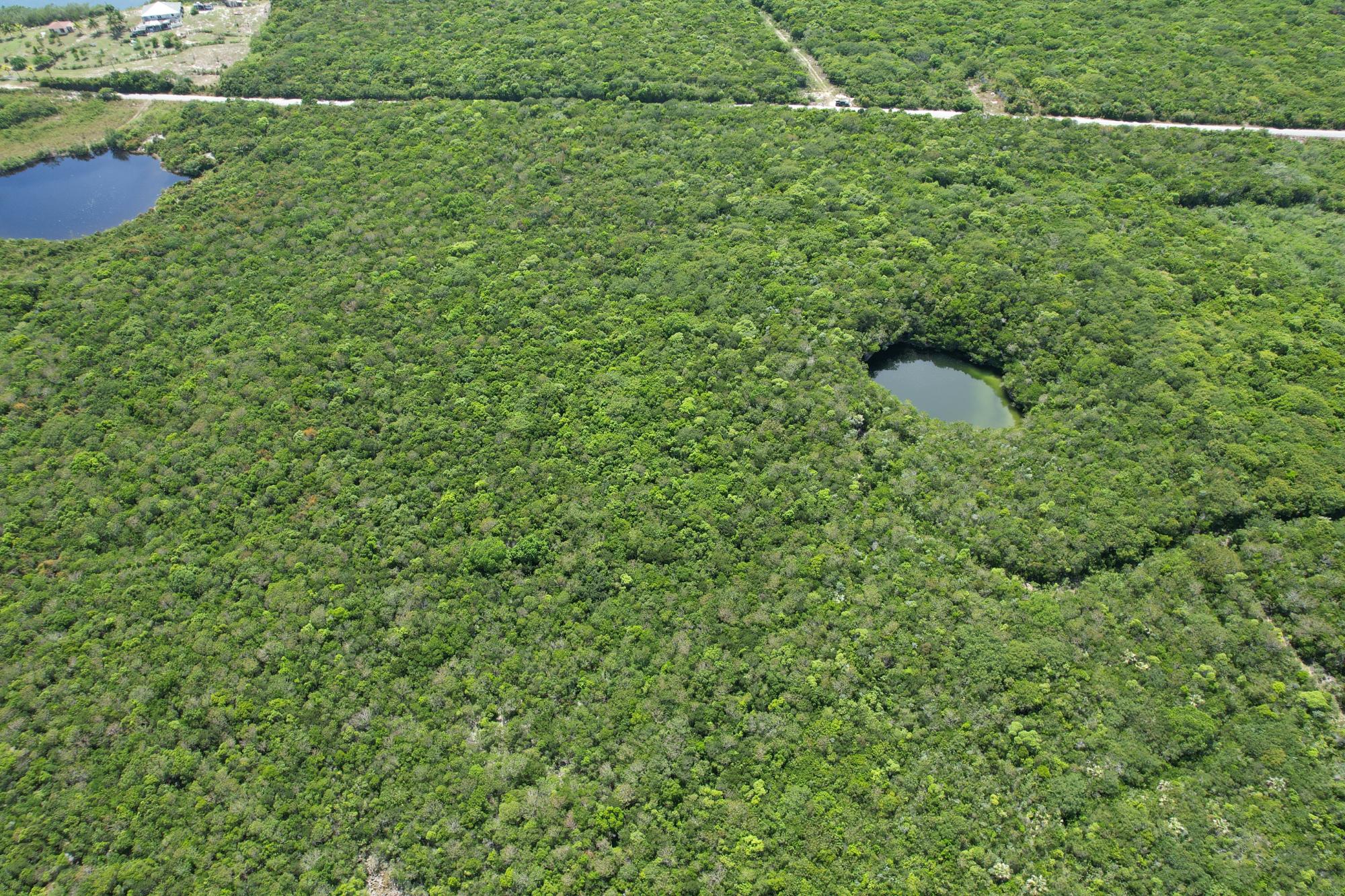 Blue Hole Acreage