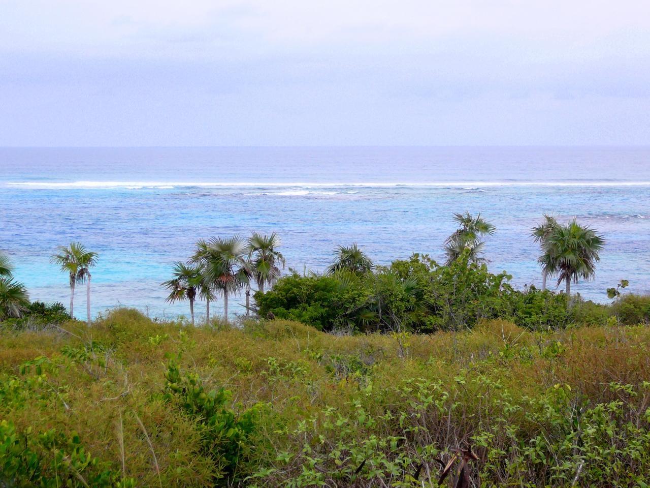 1.5 Acre Turtle Cove