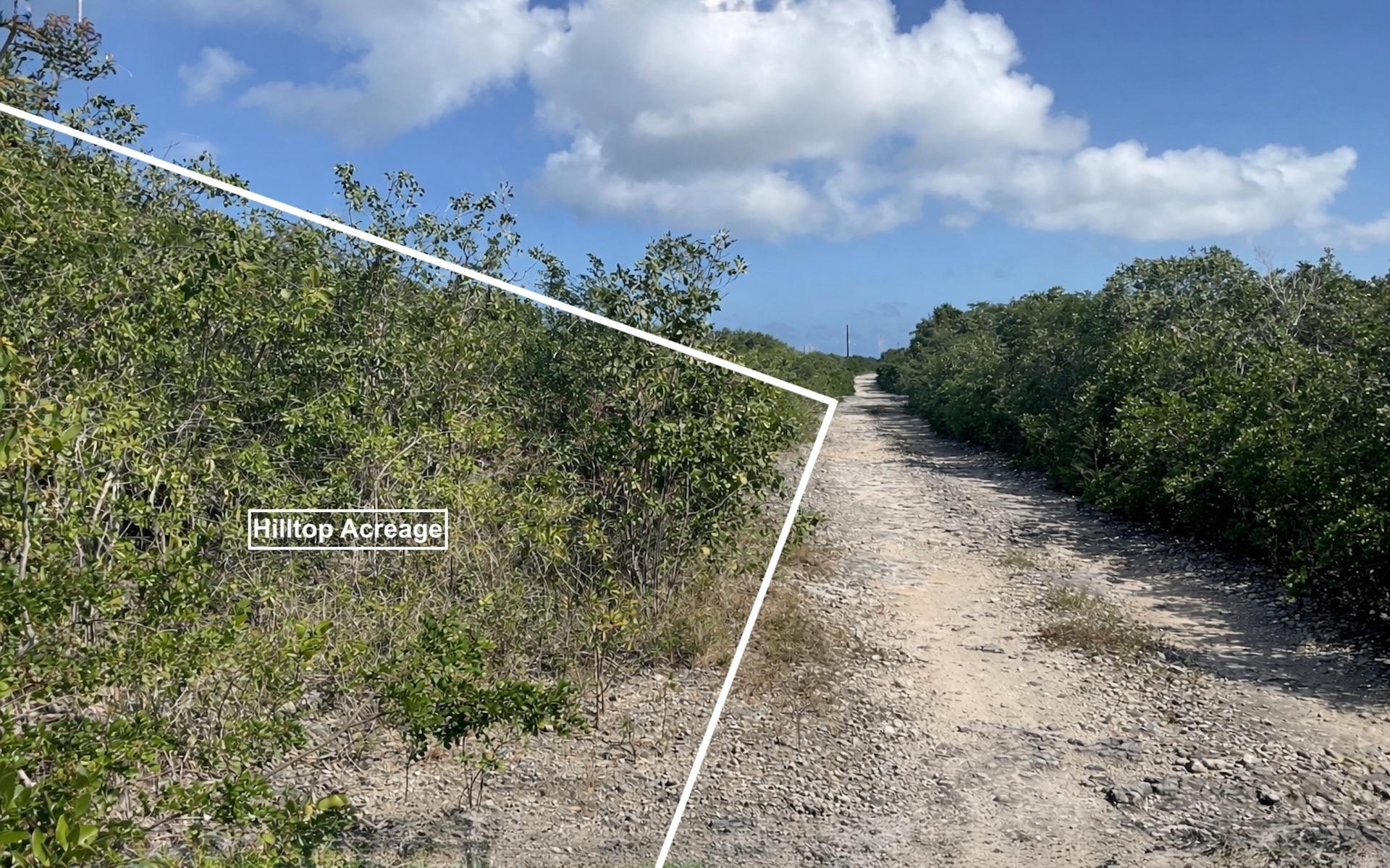  3 ACRES, TURNBULL HILLTOP,Turnbull