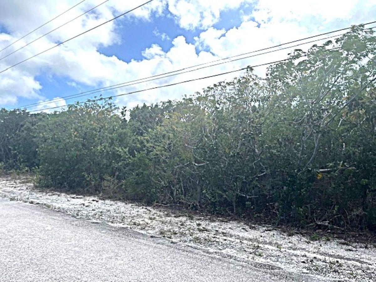  QUEEN'S HIGHWAY, MILEY,Miley