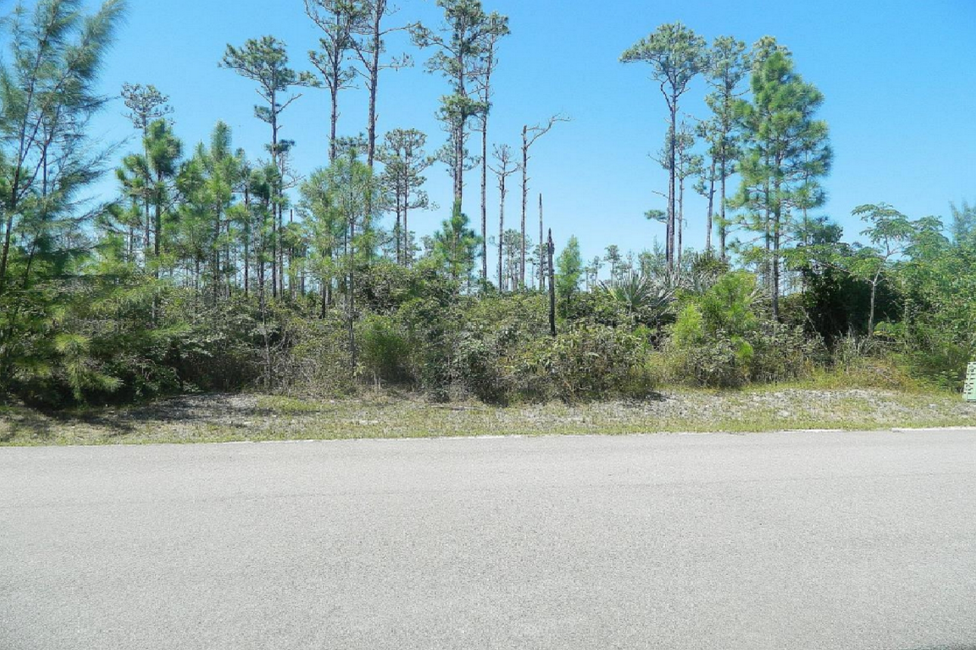 South Ocean Estates