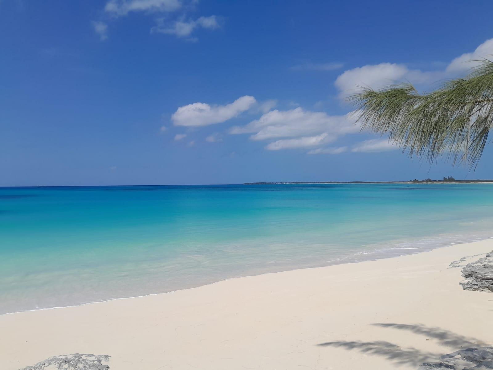  PARADISE ISLAND RENTAL,Paradise Island