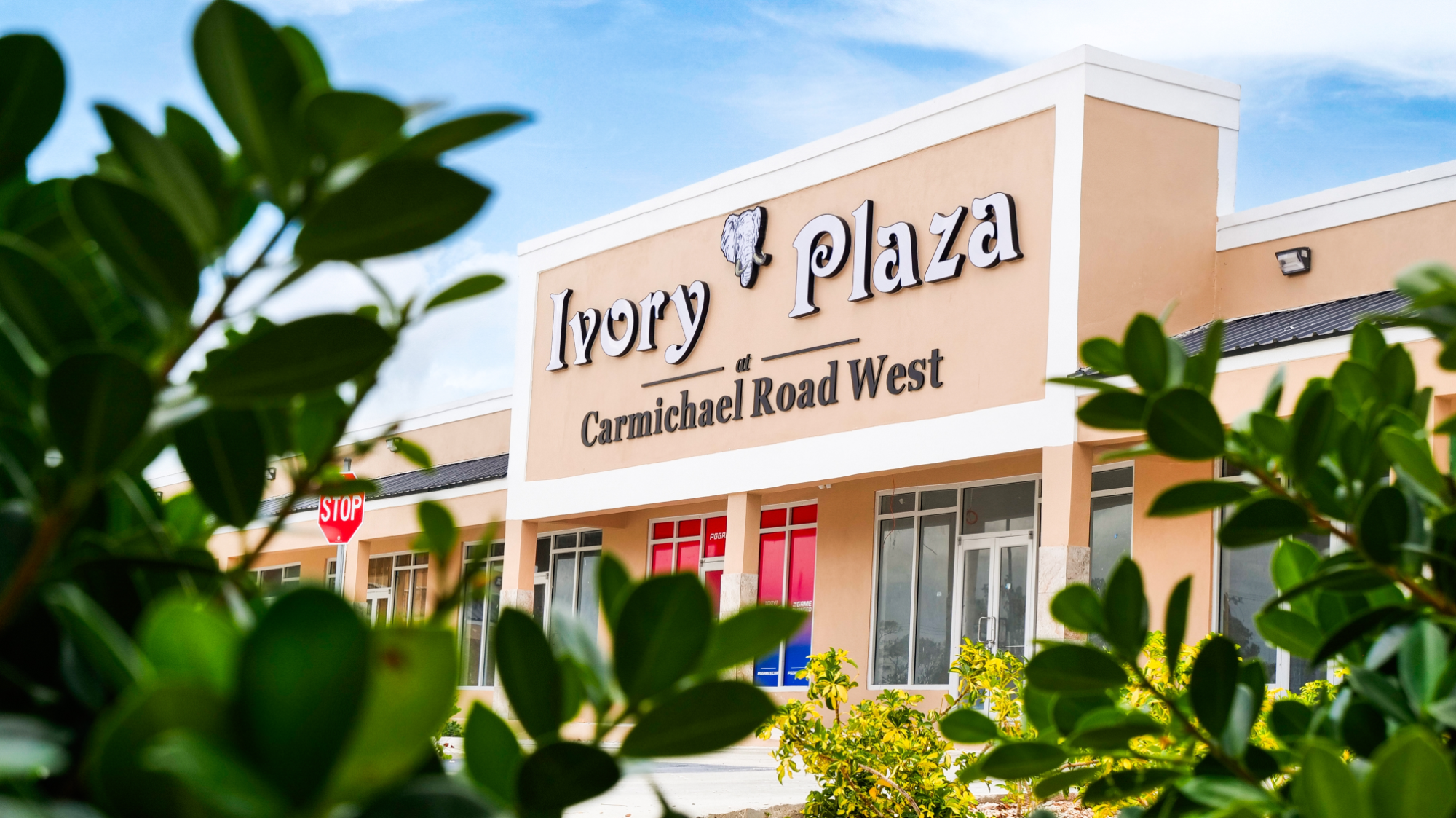  IVORY PLAZA AT CARMICHAEL,Carmichael Road